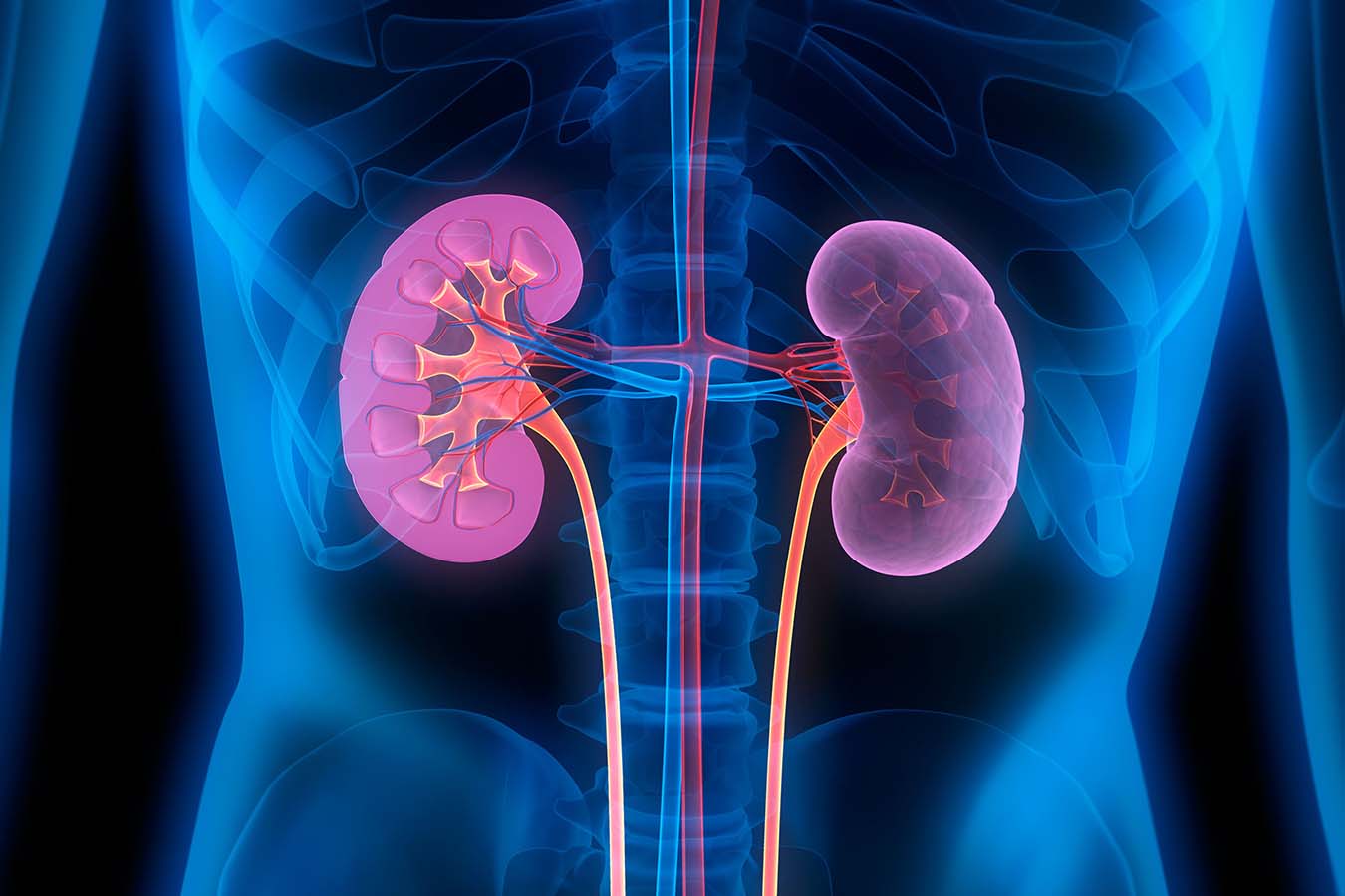 Nephrologie